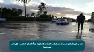 تحذير من أمطار رعدية واضطراب الملاحة البحرية غداً بالبحر الأحمر.. هل أنت مستعد؟